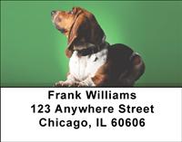 Soulful Basset Hounds Address Labels