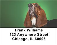 Soulful Basset Hounds Address Labels