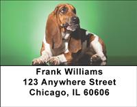 Soulful Basset Hounds Address Labels