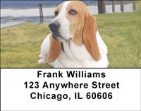 Basset Hounds Near The Beach Address Labels