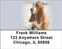 Basset Hounds Near The Beach Address Labels