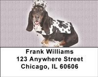 Silly Basset Hounds Address Labels