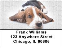 Cute Basset Hounds Address Labels