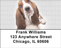 Cute Basset Hounds Address Labels