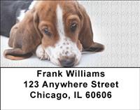 Cute Basset Hounds Address Labels