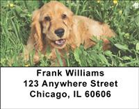 Cocker Spaniel Puppies Address Labels