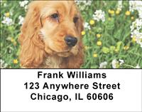 Cocker Spaniel Puppies Address Labels