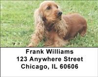 Cocker Spaniel Puppies Address Labels