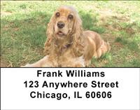 Cocker Spaniel Puppies Address Labels
