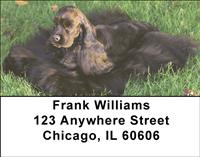 Regal Cocker Spaniel Address Labels