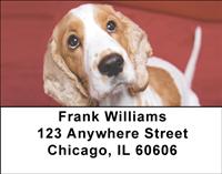 Cocker Spaniel Closeup Address Labels