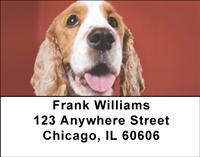 Cocker Spaniel Closeup Address Labels
