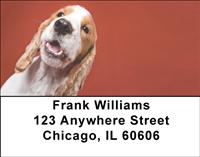 Cocker Spaniel Closeup Address Labels