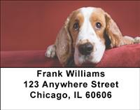 Cocker Spaniel Closeup Address Labels