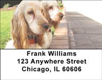 Cocker Spaniel Friends Address Labels