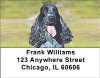 Black Cocker Spaniels Address Labels