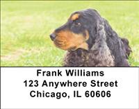 Rugged Cocker Spaniels Address Labels