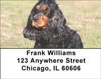 Rugged Cocker Spaniels Address Labels