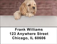 Cocker Spaniel Puppy Address Labels