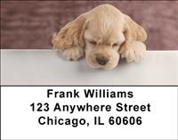 Cocker Spaniel Puppy Address Labels