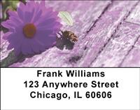 Lonely Daisy Address Labels