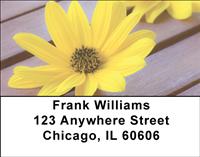 Yellow Daisies Address Labels