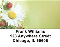 Daisy Bouquet Address Labels