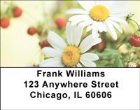 Daisy Bouquet Address Labels