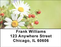 Daisy Bouquet Address Labels