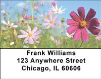 Daisies In The Meadow Address Labels