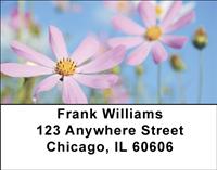 Daisies In The Meadow Address Labels