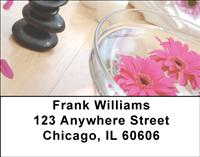 Pink Daisies Address Labels