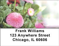 English Daisy Bell Address Labels