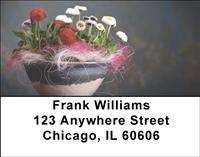 English Daisy Bell Address Labels