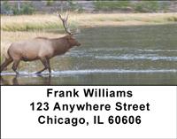 Elk In The River Address Labels
