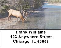 Elk In The River Address Labels