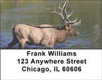 Elk In The River Address Labels