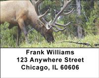 Grazing Elk Address Labels