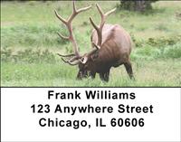 Grazing Elk Address Labels