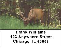 Grazing Elk Address Labels