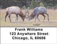 Fighting Elk Address Labels