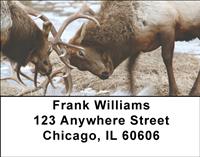 Fighting Elk Address Labels