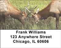 Fighting Elk Address Labels
