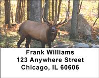 Elk In The Forest Address Labels