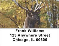 Elk In The Forest Address Labels