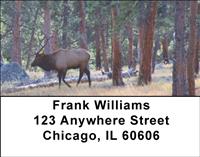 Elk In The Forest Address Labels
