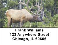 Elk In The Forest Address Labels
