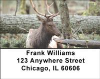 Resting Elk Address Labels