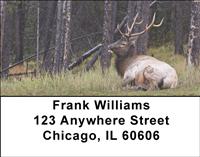 Resting Elk Address Labels