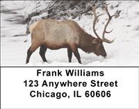 Winter Elk Address Labels